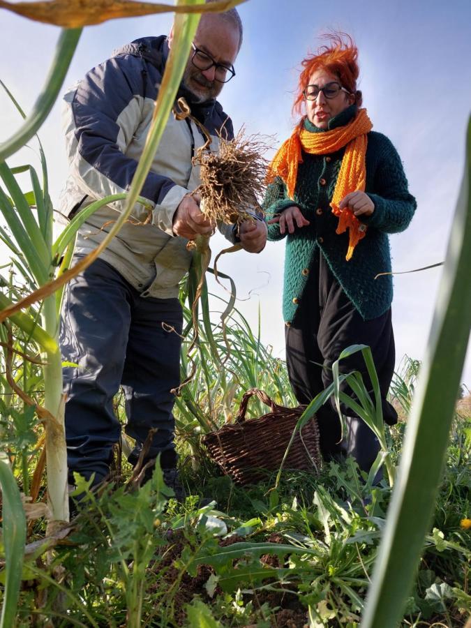 Turismo Rural La Ojinegra Alloza Bagian luar foto